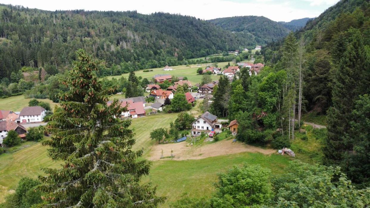 Apartament Zum Eichbuehl St. Blasien Zewnętrze zdjęcie